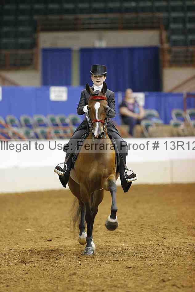 Proof 13r12_6691