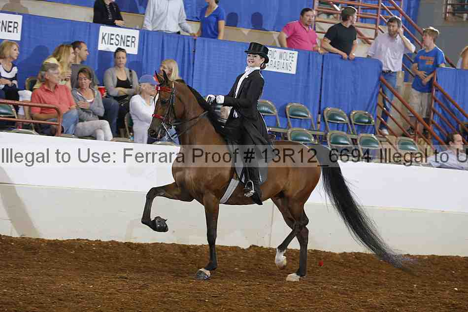 Proof 13r12_6694