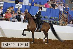 13r12_6694 proof