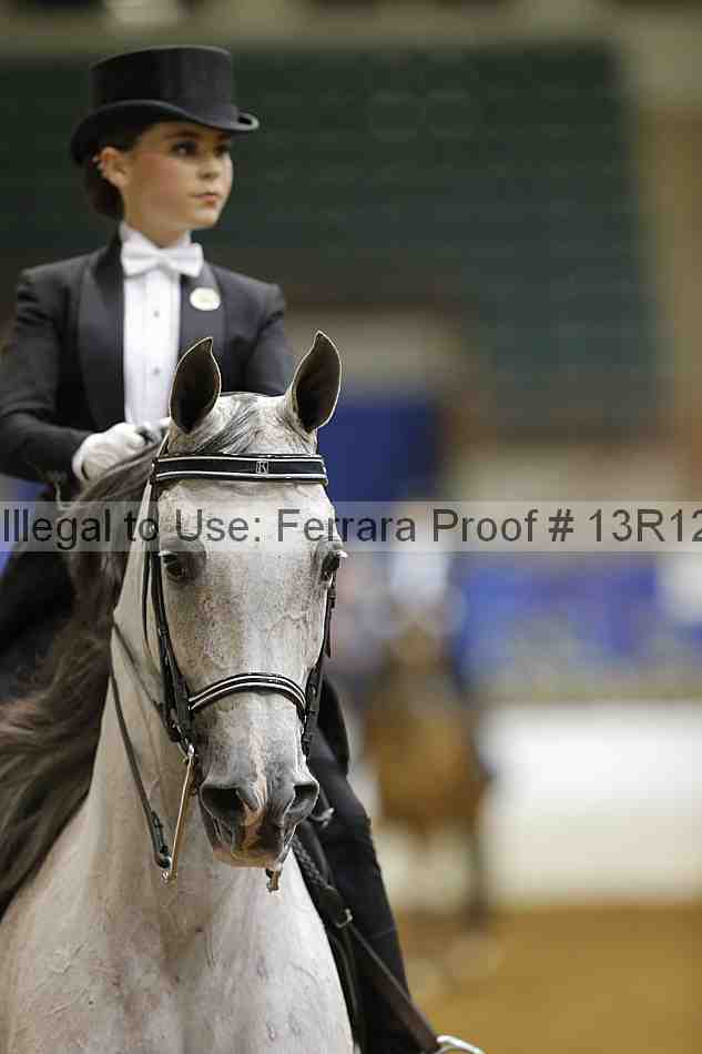 Proof 13r12_6695
