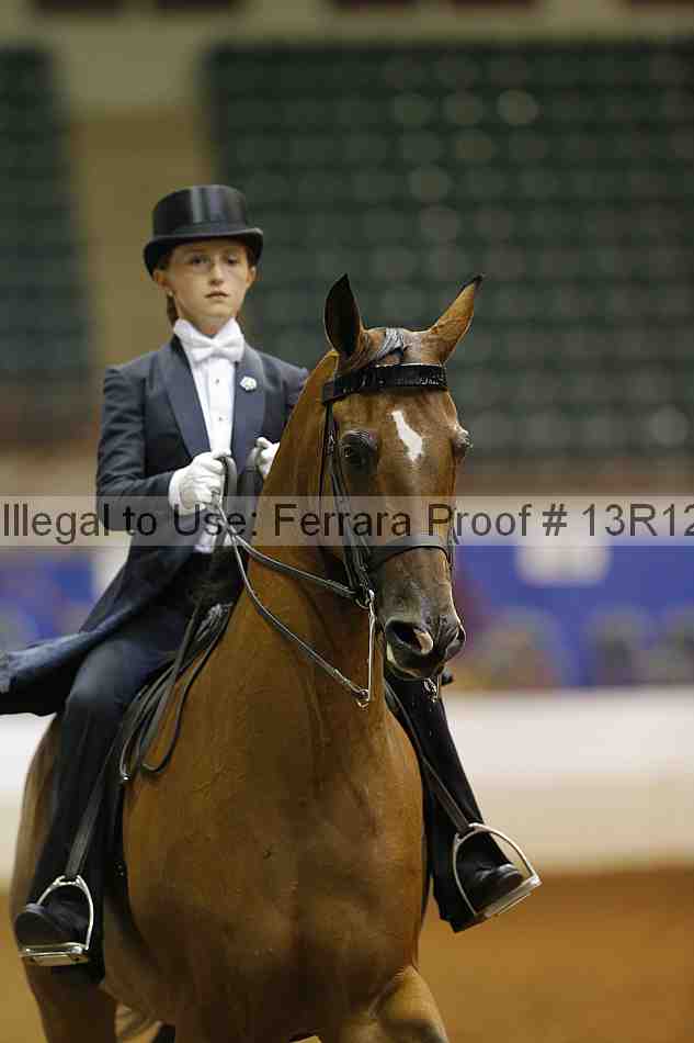 Proof 13r12_6696