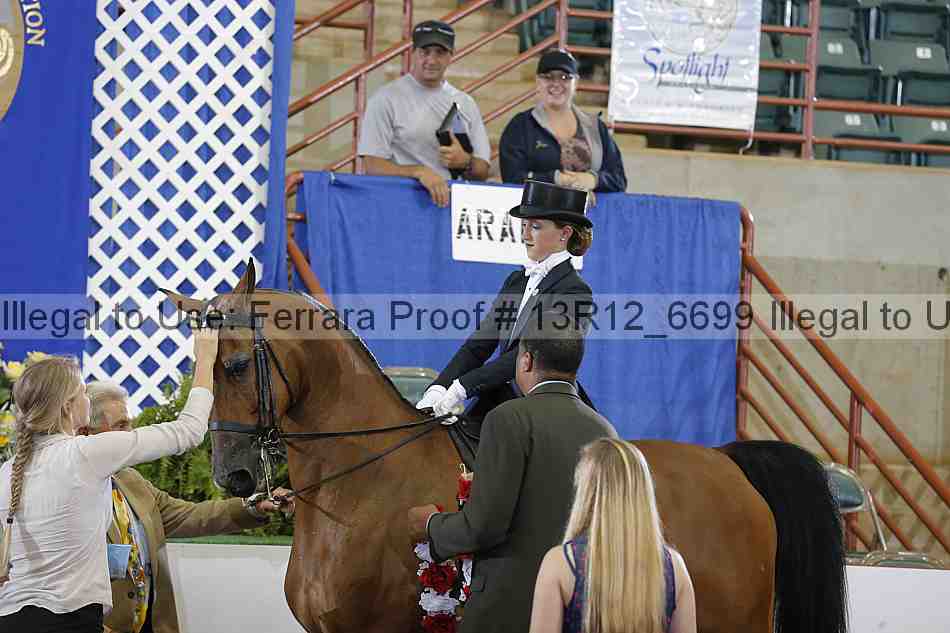 Proof 13r12_6699