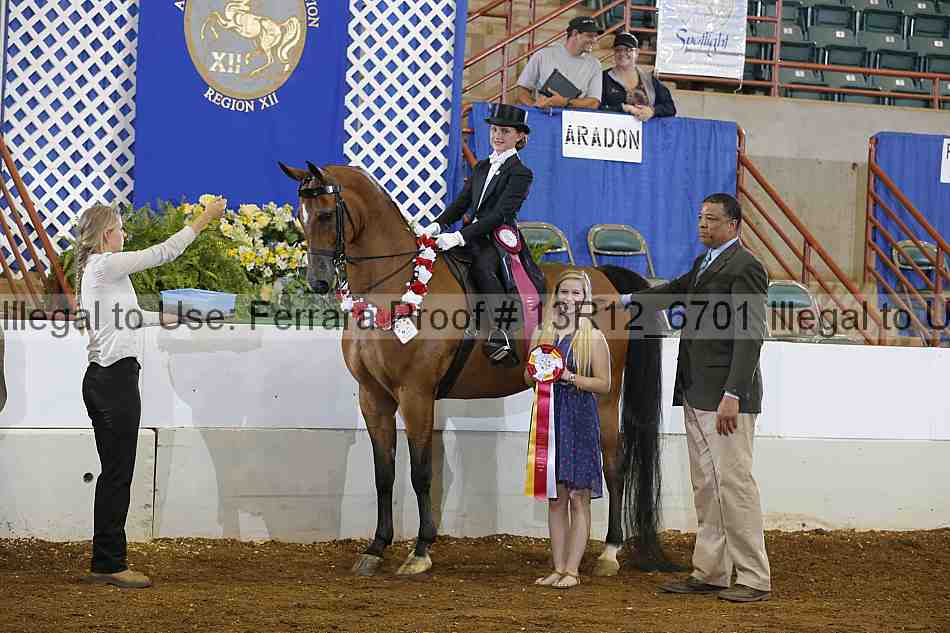 Proof 13r12_6701