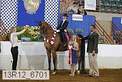13r12_6701 proof
