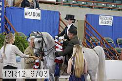 13r12_6703 proof