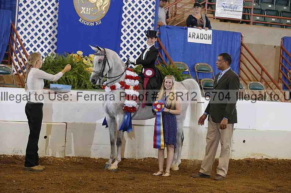 Proof 13r12_6704