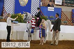 13r12_6704 proof