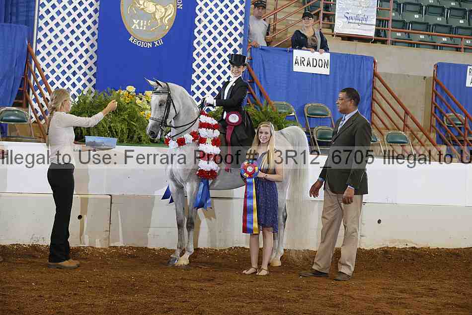 Proof 13r12_6705