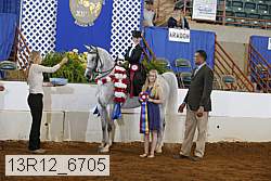 13r12_6705 proof
