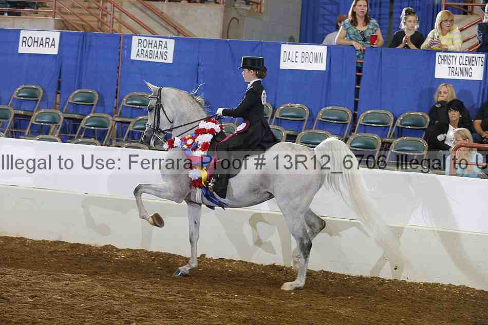 Proof 13r12_6706
