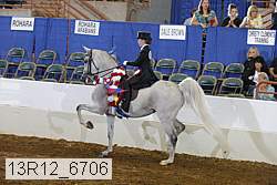 13r12_6706 proof