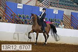 13r12_6707 proof