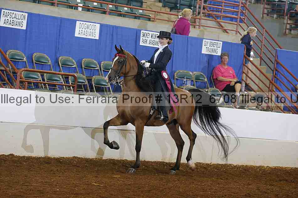 Proof 13r12_6708