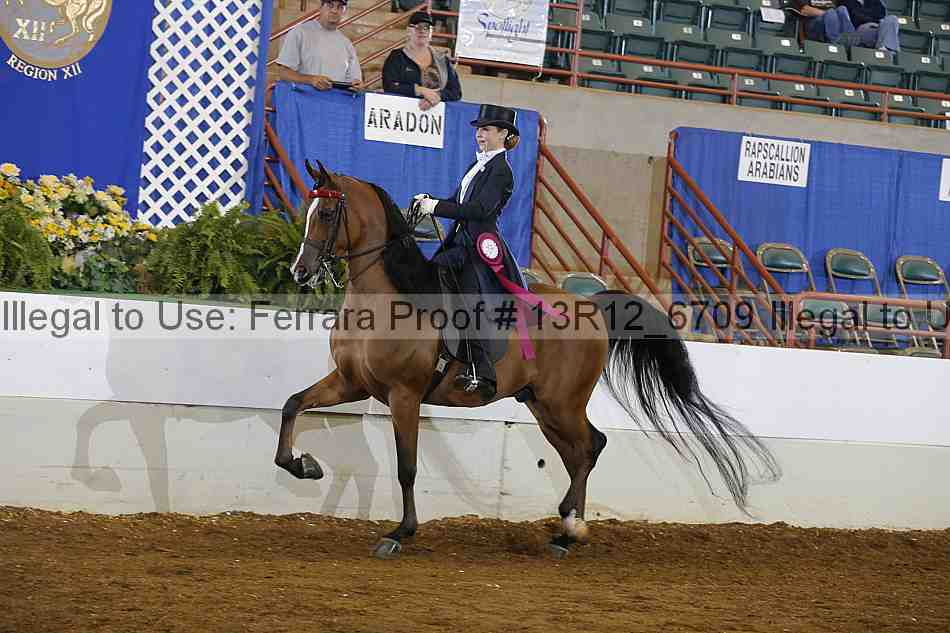 Proof 13r12_6709