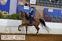 13r12_6709 proof