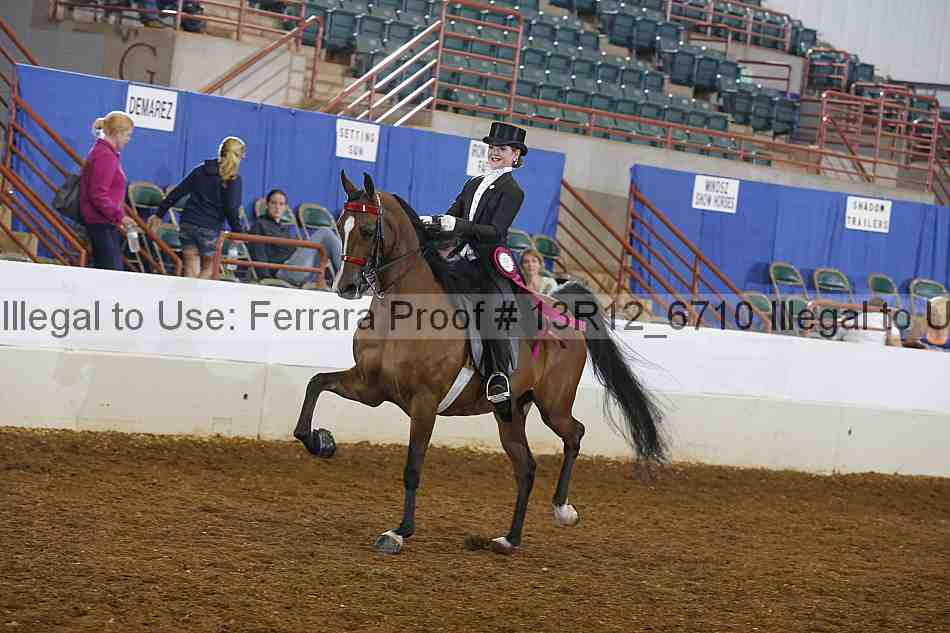 Proof 13r12_6710