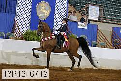 13r12_6712 proof