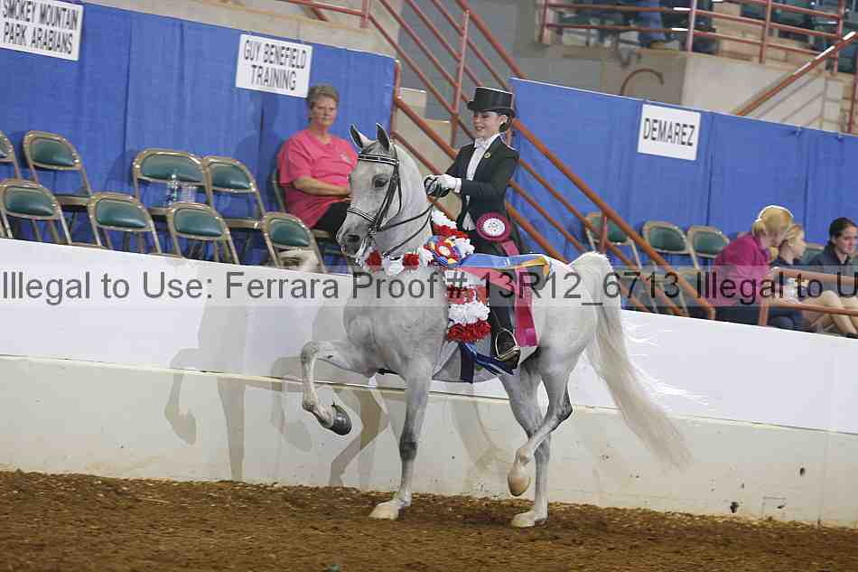 Proof 13r12_6713