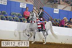 13r12_6713 proof