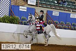 13r12_6714 proof