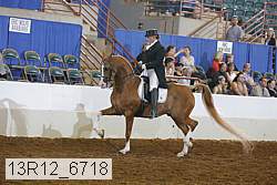 13r12_6718 proof