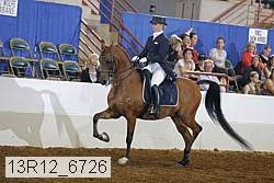 13r12_6726 proof