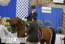 13r12_6733 proof