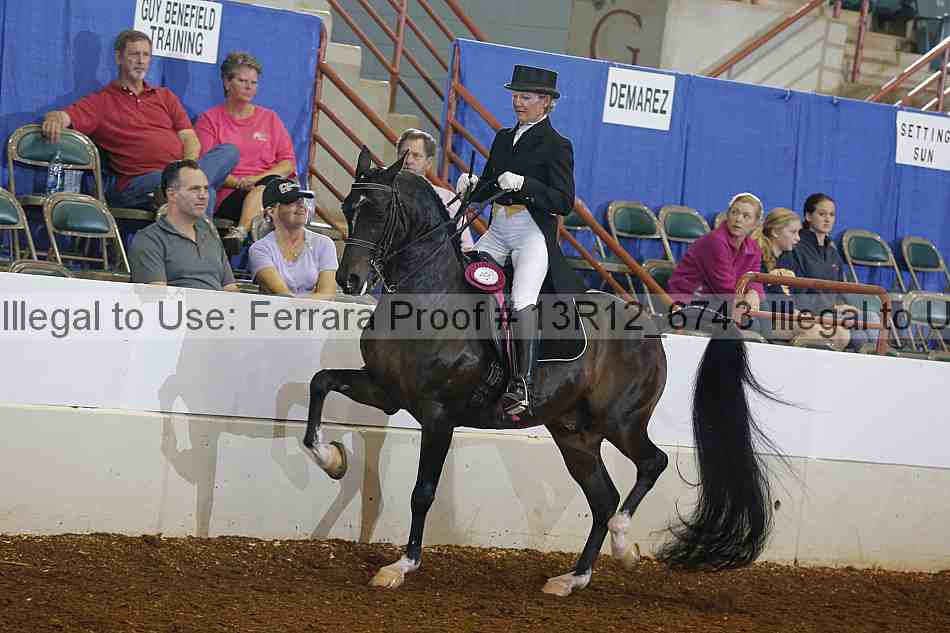Proof 13r12_6743