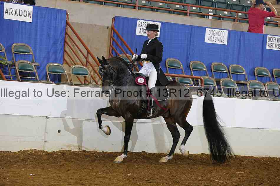Proof 13r12_6745