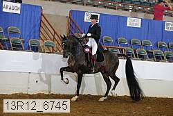13r12_6745 proof