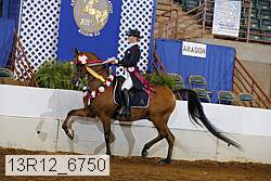 13r12_6750 proof