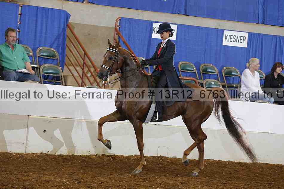 Proof 13r12_6763