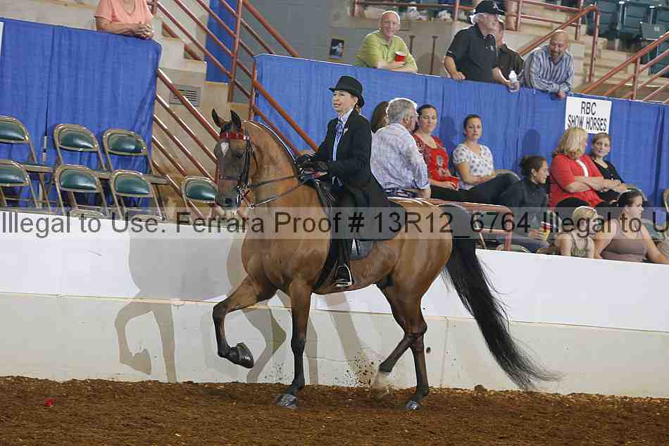 Proof 13r12_6764