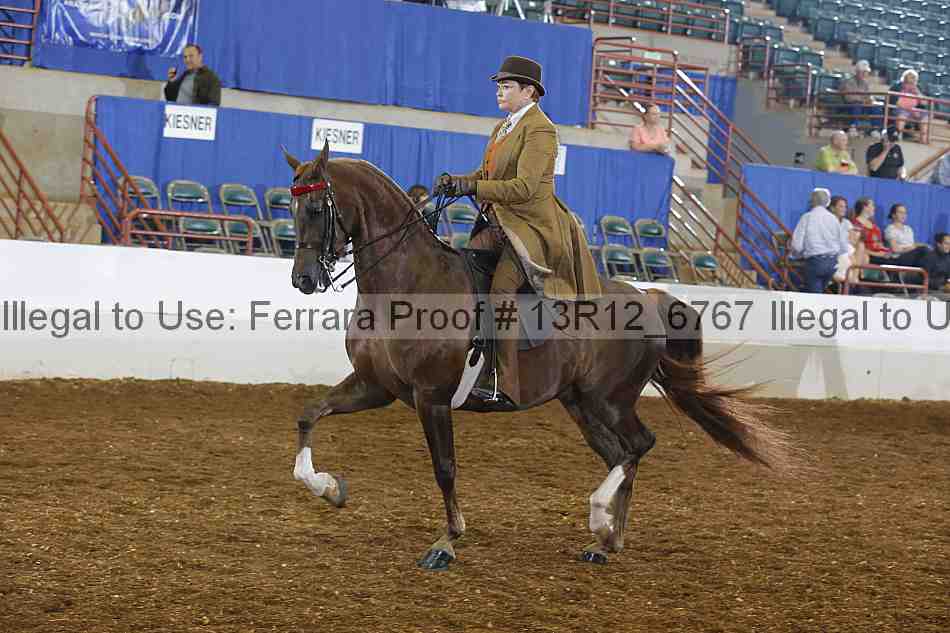 Proof 13r12_6767