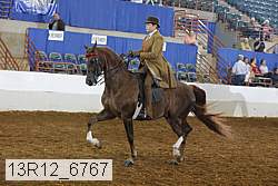 13r12_6767 proof