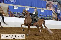 13r12_6768 proof