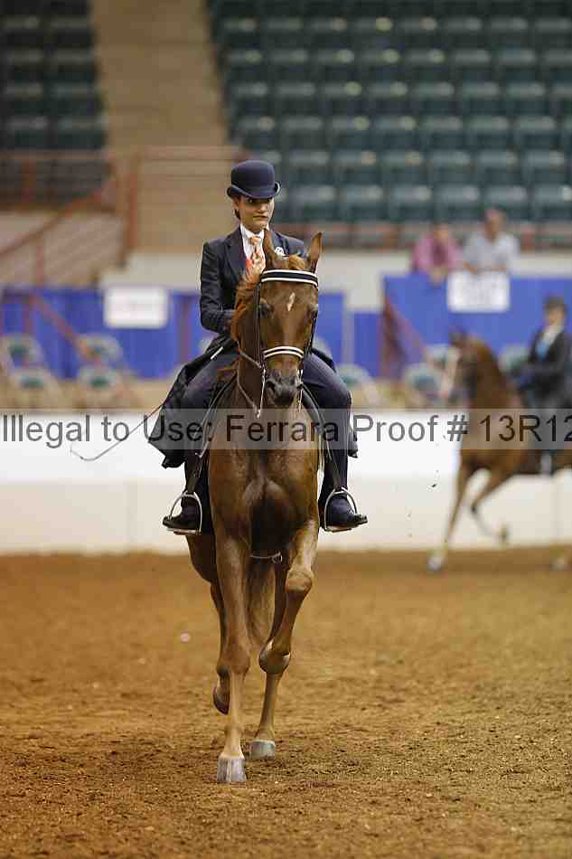 Proof 13r12_6770