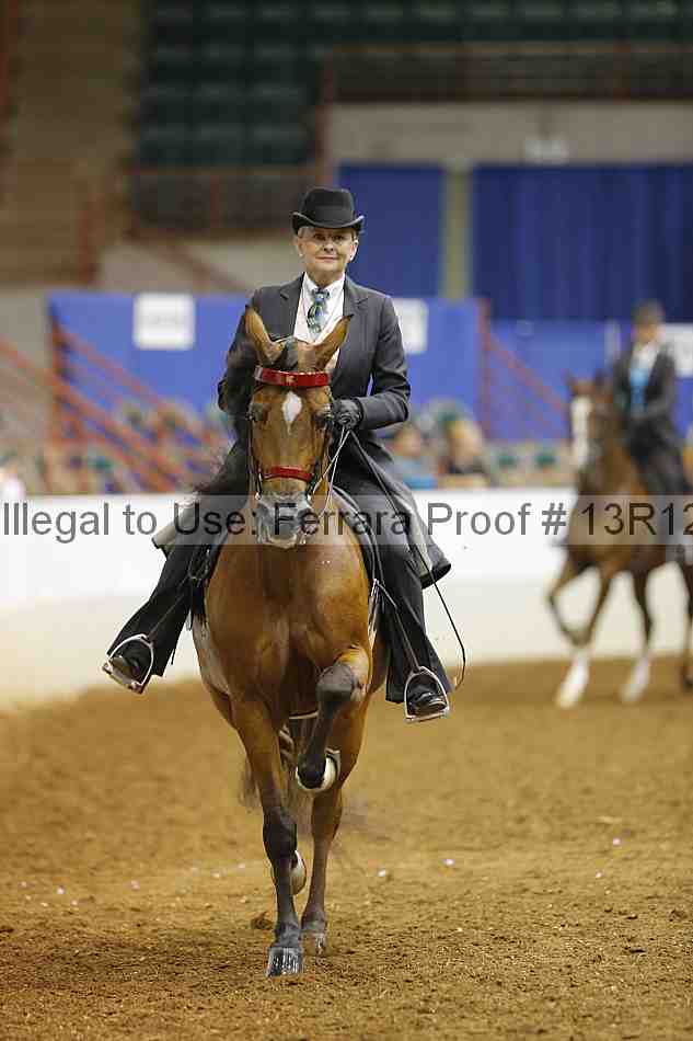 Proof 13r12_6771