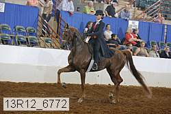13r12_6772 proof