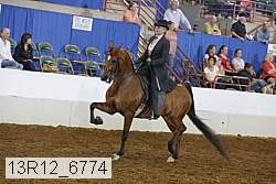 13r12_6774 proof