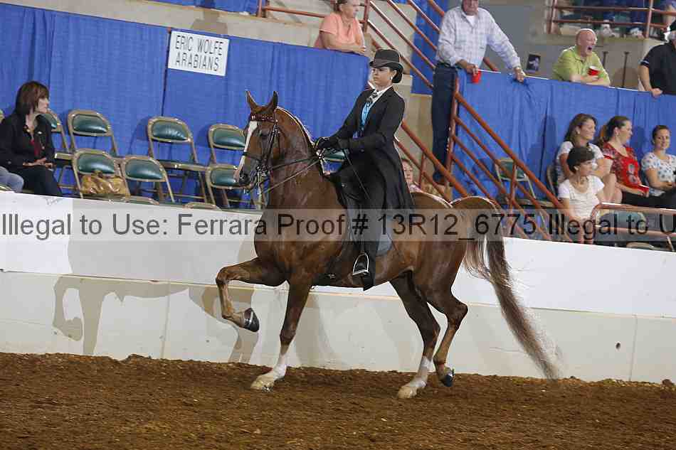 Proof 13r12_6775