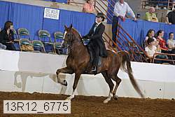 13r12_6775 proof