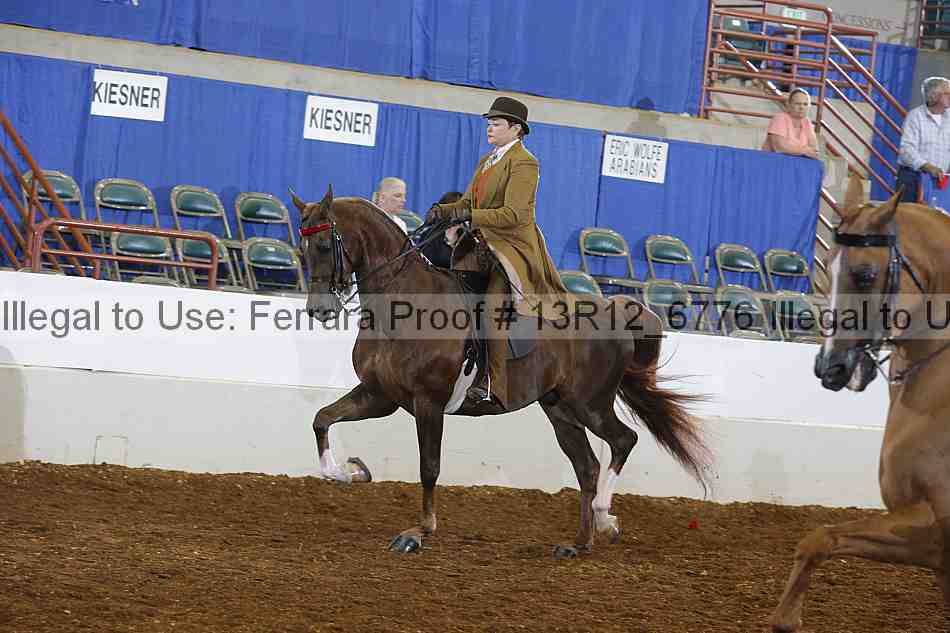 Proof 13r12_6776