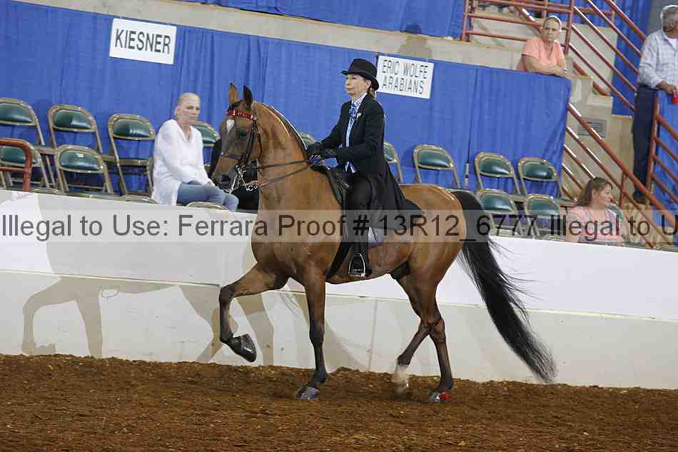 Proof 13r12_6777