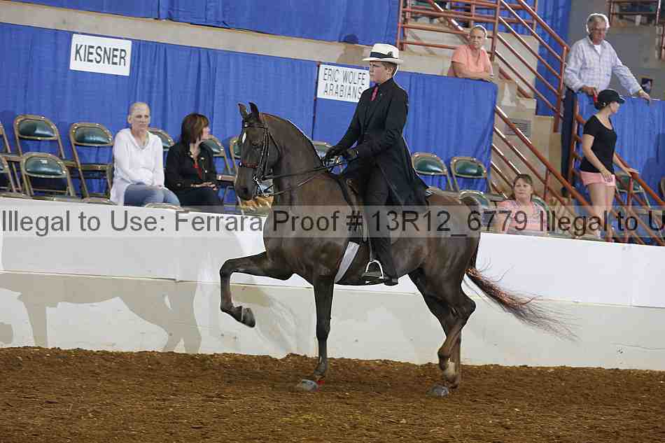 Proof 13r12_6779