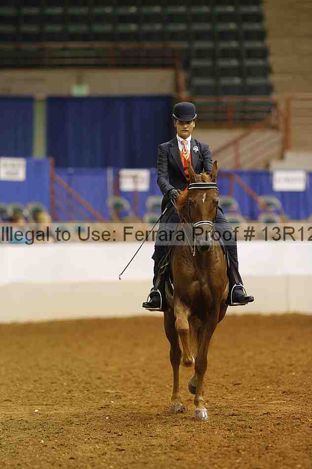 Proof 13r12_6780