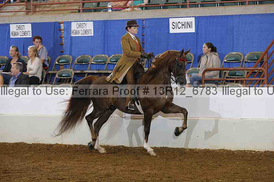 Proof 13r12_6783