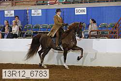 13r12_6783 proof