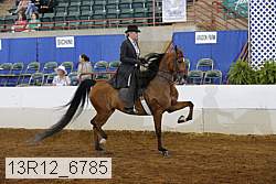 13r12_6785 proof