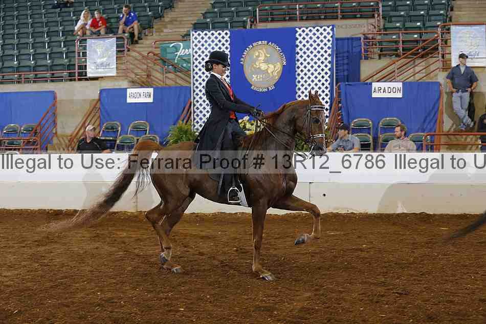 Proof 13r12_6786